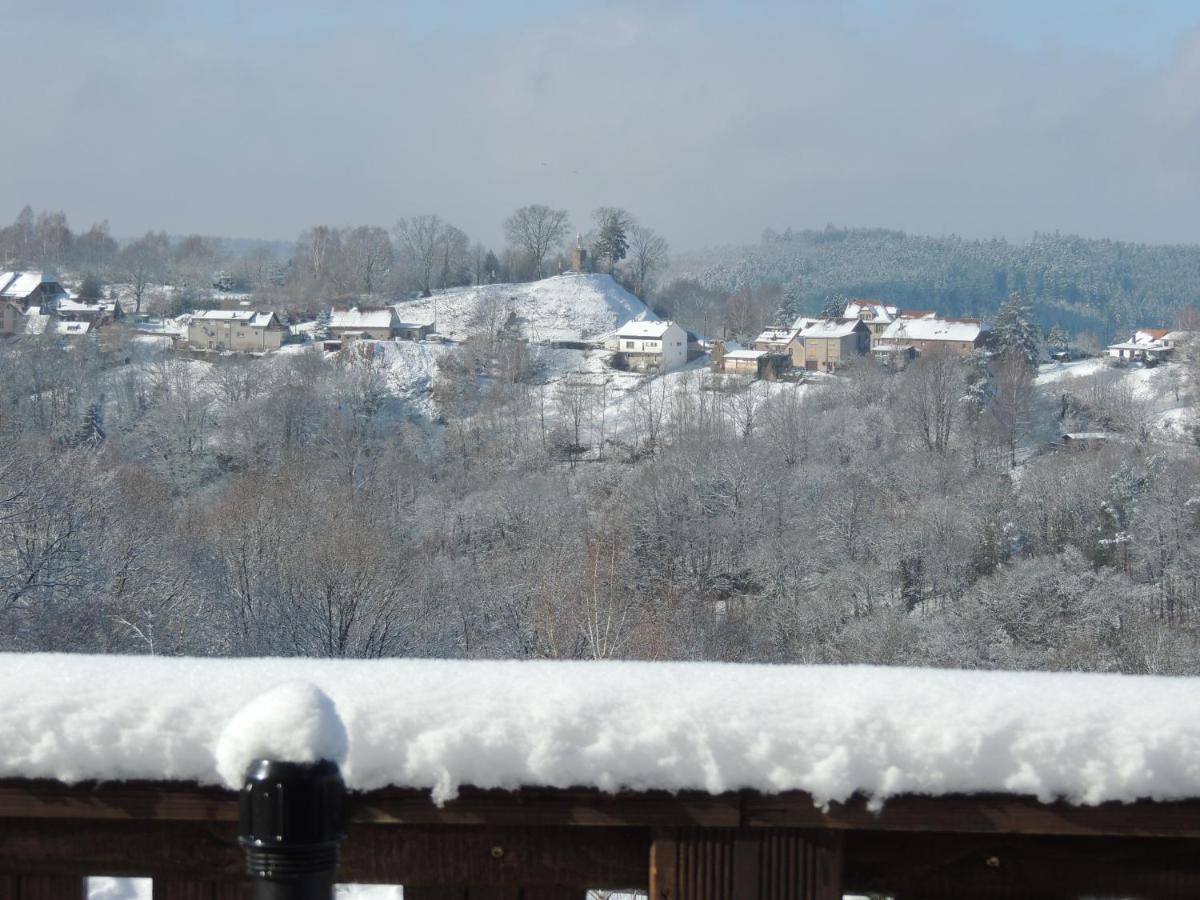 Au Chalet Bain Nordique neuf indépendant calme assuré Haselbourg Esterno foto