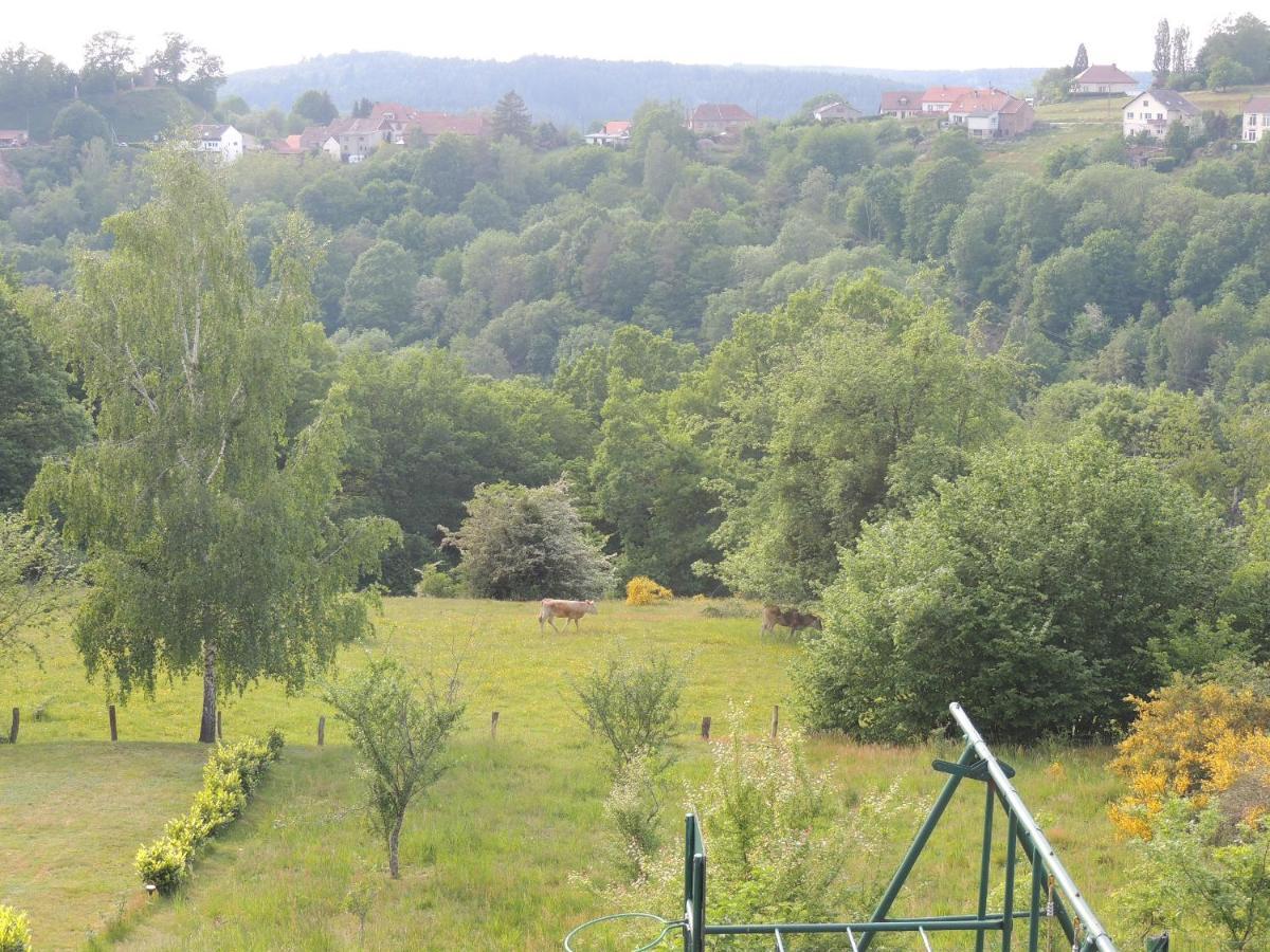 Au Chalet Bain Nordique neuf indépendant calme assuré Haselbourg Esterno foto